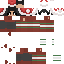 DCDYS Minecraft skin preview