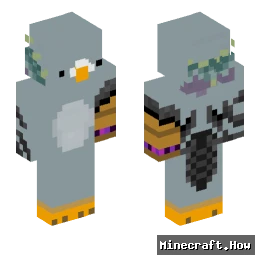3Pigeonn
