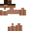 recordin Minecraft skin preview