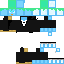 ThinkSeal Minecraft skin preview