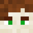 SomeChips classic skin texture