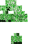 buckcountry10 Minecraft skin preview