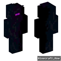 MinecraftDude695