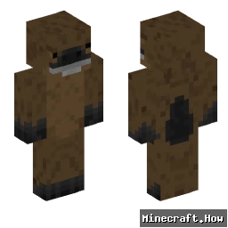 Fibre_