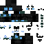 NicSP812 Minecraft skin preview