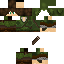 Minigoal Minecraft skin preview