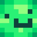 Turtle_boy214 classic skin texture