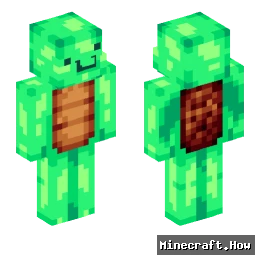 Turtle_boy214