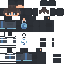 WinterBW Minecraft skin preview