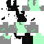 jaysonwins Minecraft skin preview