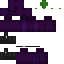 Ezhevichka338 Minecraft skin preview