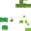 behrad19 Minecraft skin preview