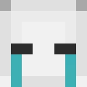 GingNamPvP classic skin texture