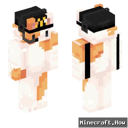 VuxTheCat