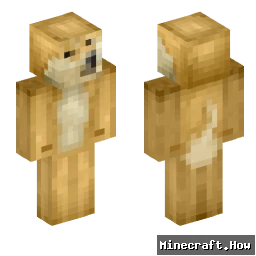 EternalXin