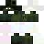 Singularity_12 Minecraft skin preview