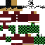 DrDizzZ Minecraft skin preview