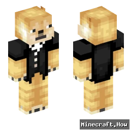 MisterDoge