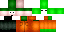 BejingExpress4 Minecraft skin preview
