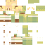 Dsian Minecraft skin preview