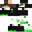 Poke55 Minecraft skin preview