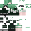 Toastedsoup_ Minecraft skin preview