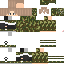 Mizushino Minecraft skin preview