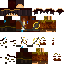 TfThief Minecraft skin preview
