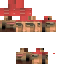 xSlein Minecraft skin preview