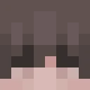 FlipekPro classic skin texture