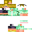 Zenoo1DD classic skin texture