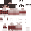 GoMetro Minecraft skin preview