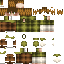 VixlyXR classic skin texture