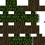 trashspace27 Minecraft skin preview