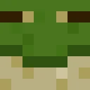 phrogg_ classic skin texture