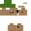 phrogg_ Minecraft skin preview