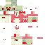 TotallyNotTurtle Minecraft skin preview