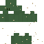 Cactus50 Minecraft skin preview