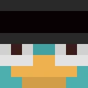 Hacerin2208 classic skin texture