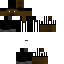 ppasswordd Minecraft skin preview
