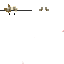 tibippe Minecraft skin preview