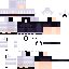 TillsCarry Minecraft skin preview