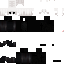 n2scs221 Minecraft skin preview