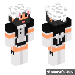 Robotur