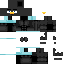 Penguins___ Minecraft skin preview