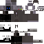 RobotCoder350 Minecraft skin preview