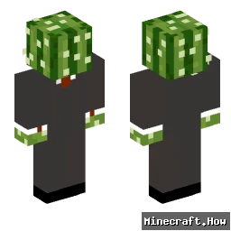 CountCactus