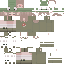 frogrs_ Minecraft skin preview