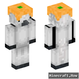 exvuses