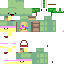Turtail Minecraft skin preview